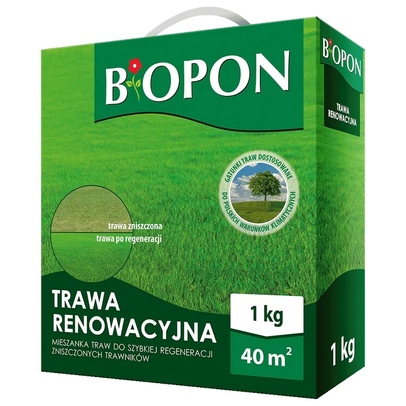 TRAWA RENOWACYJNA 1 KG