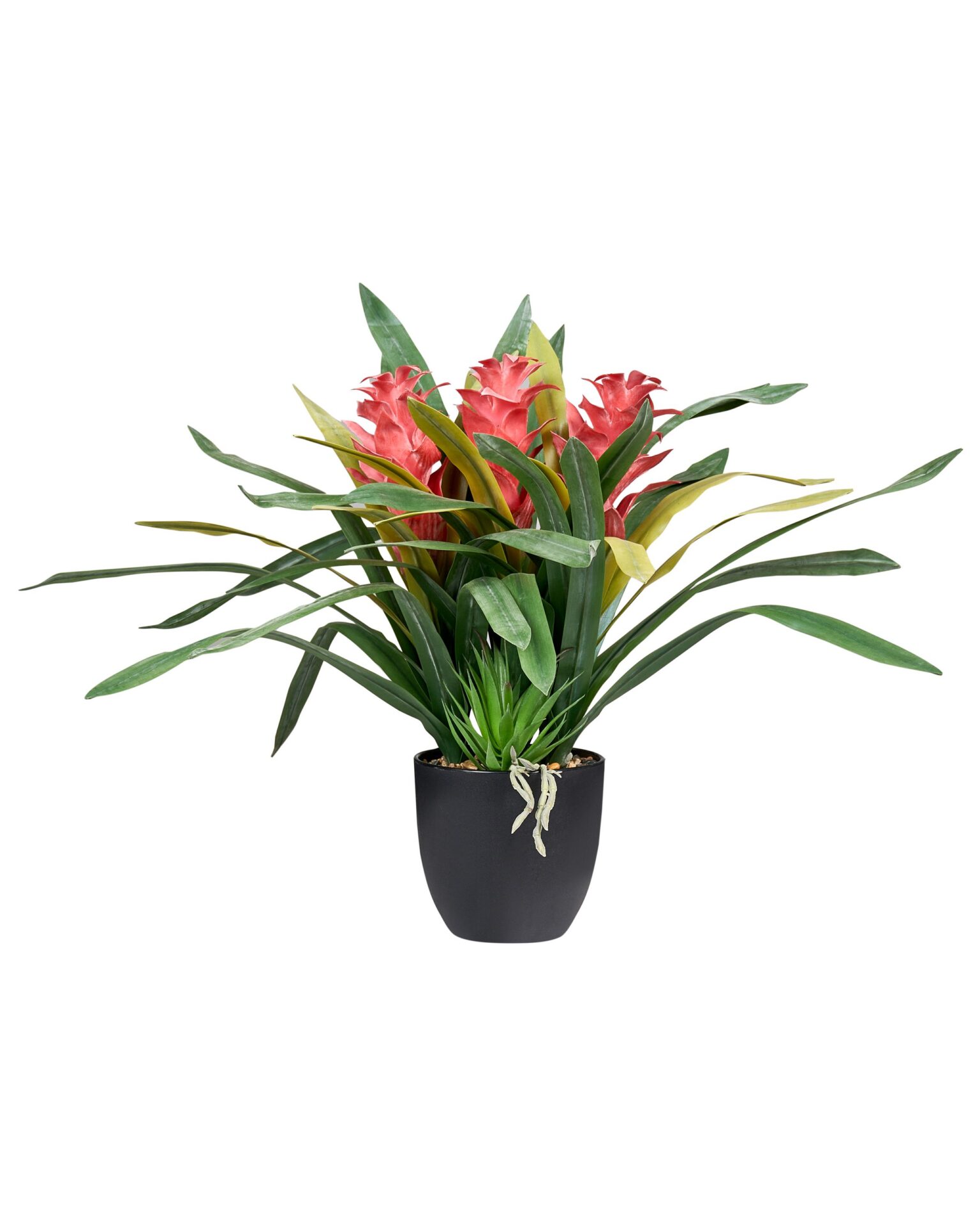 Sztuczna roślina GUZMANIA ATILLA 50 cm Zielony