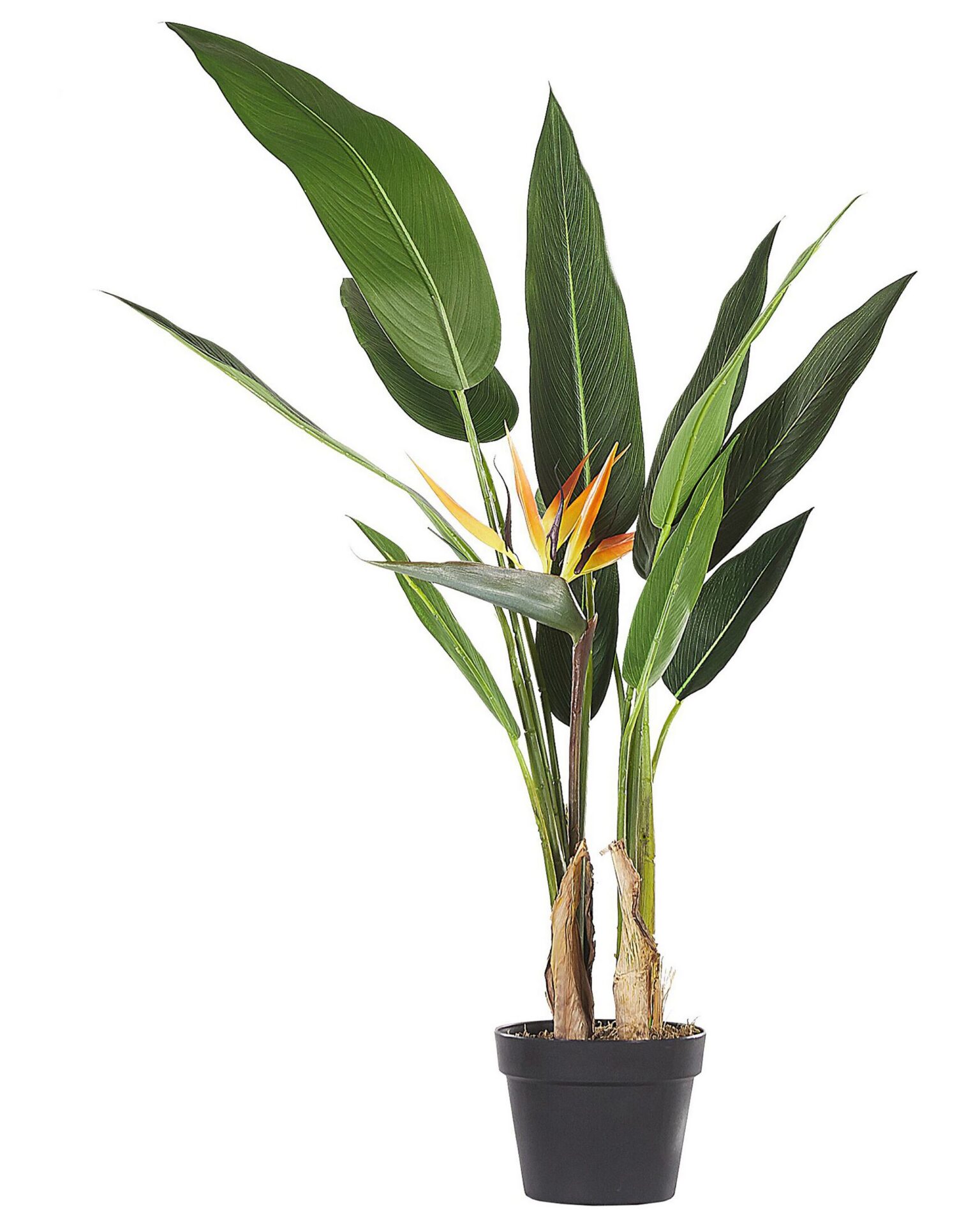 Sztuczna roślina STRELITZIA TREE 115 cm Zielony