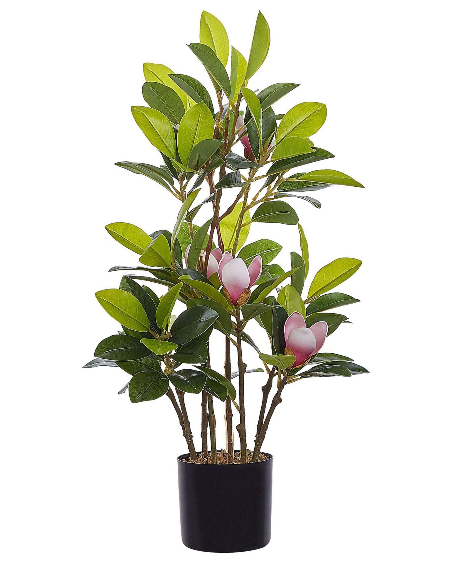 Sztuczna roślina MAGNOLIA 70 cm Zielony