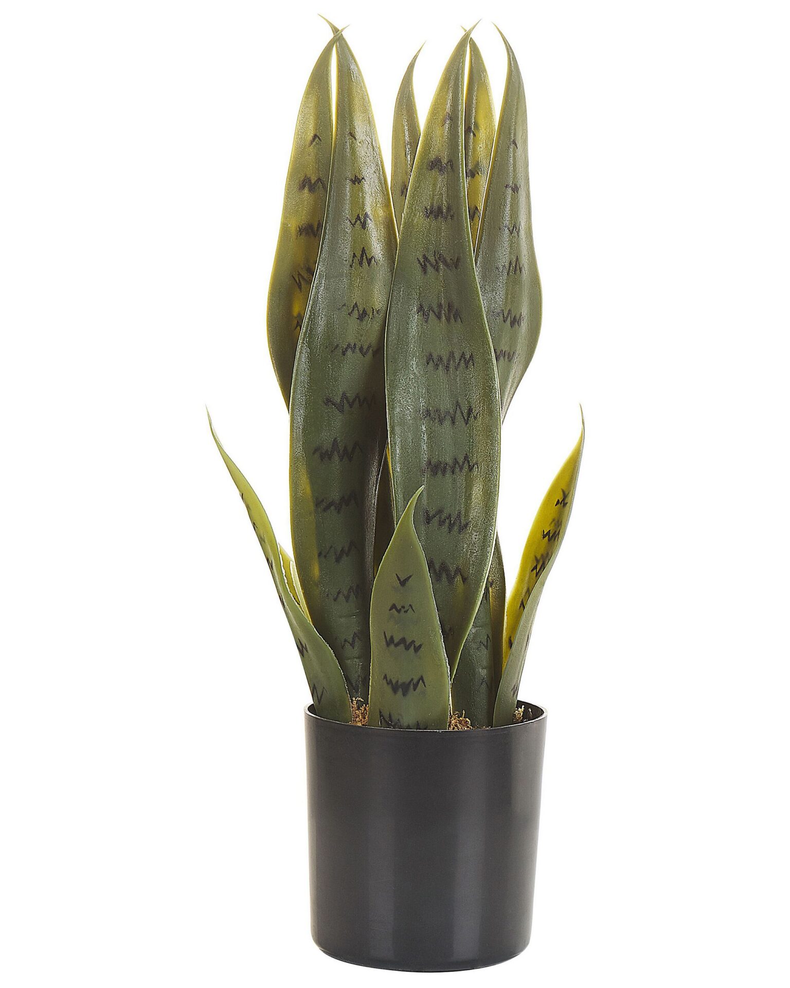 Sztuczna roślina SNAKE PLANT 40 cm Zielony