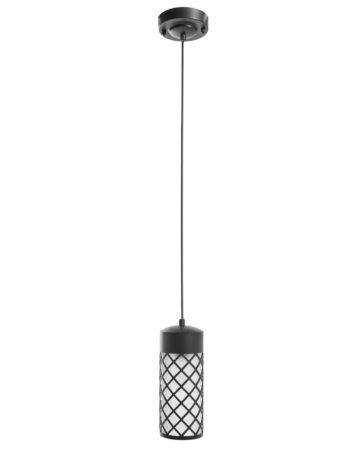 Zestaw 2 lamp wiszących ogrodowych RASKA Metal Czarny
